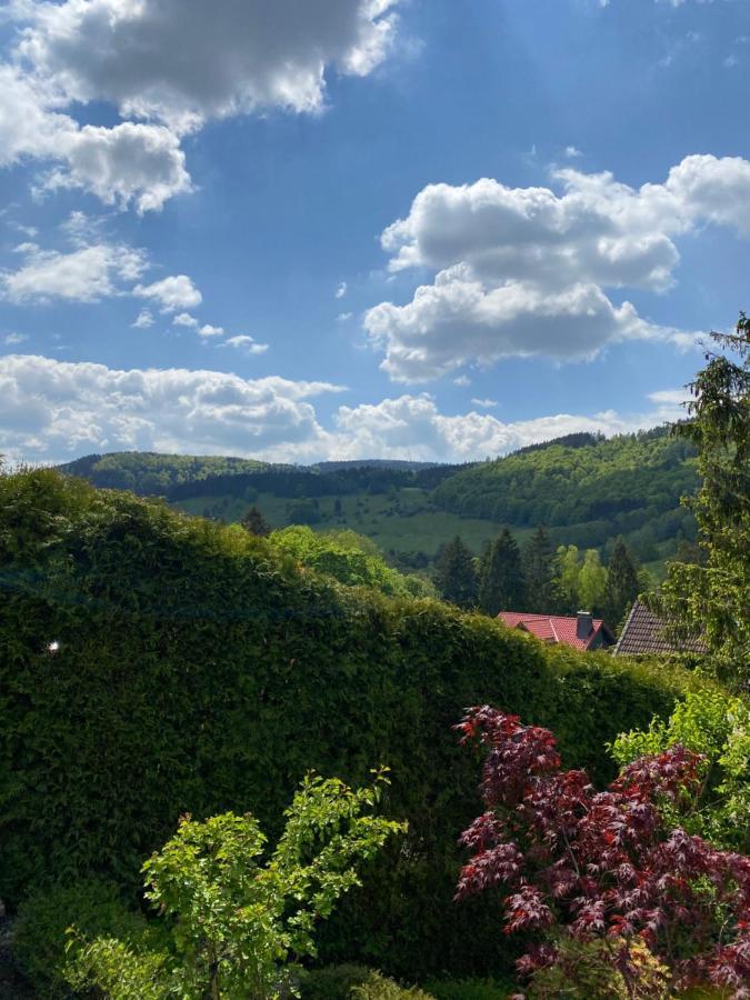 란겔샤임 Hills Hut 빌라 외부 사진